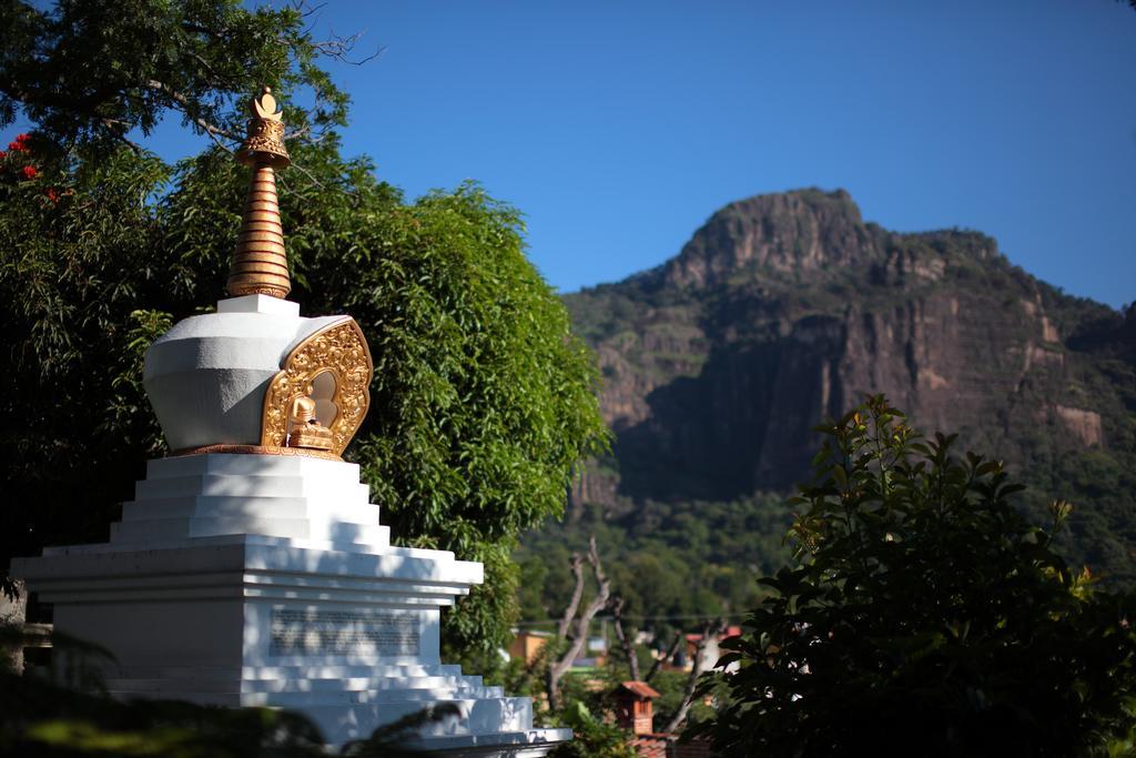 Posada Del Tepozteco - Hotel & Gallery 테포츨란 외부 사진